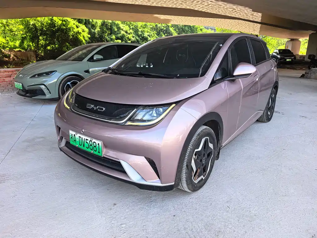 BYD Dolphin 2022