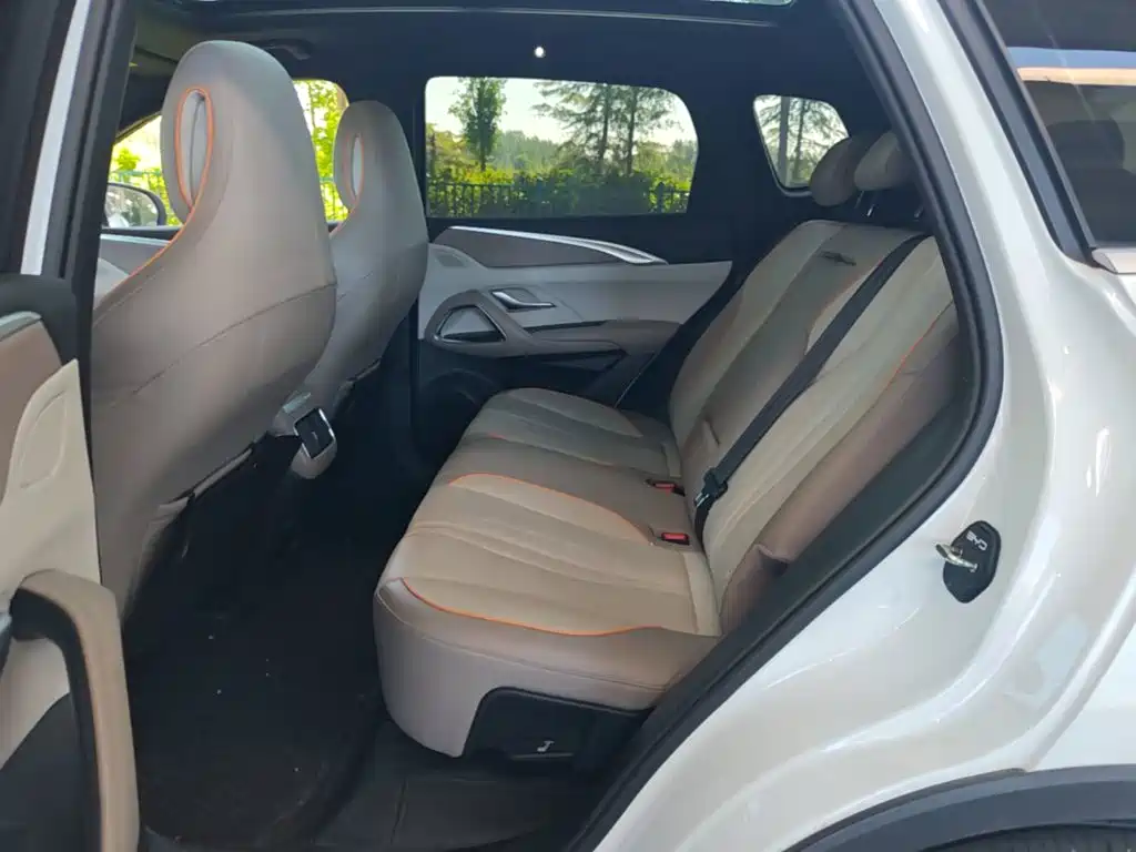 BYD Song Pro New Energy 2024 — фото 17