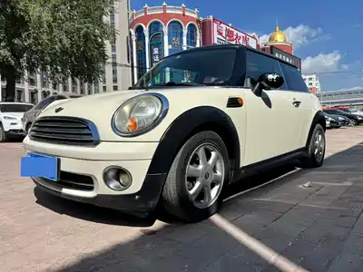 MINI MINI 2010