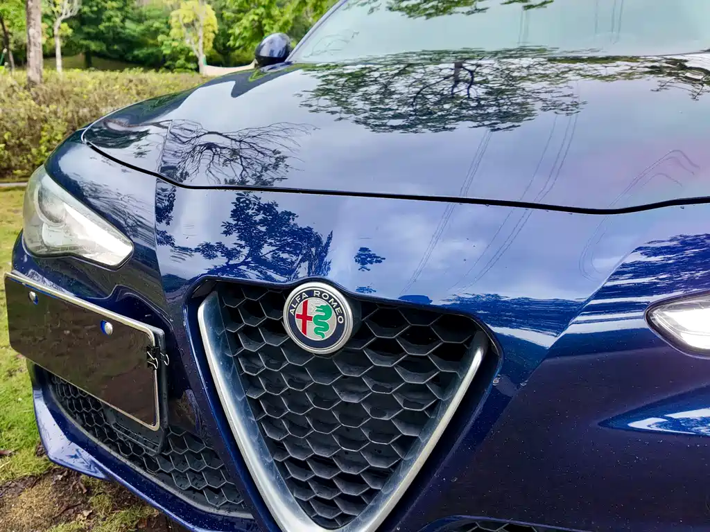 Alfa Romeo Giulia 2019 — фото 24