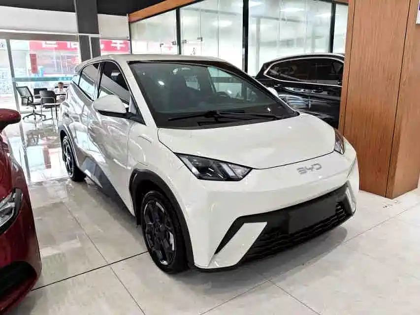 BYD Seagull 2024