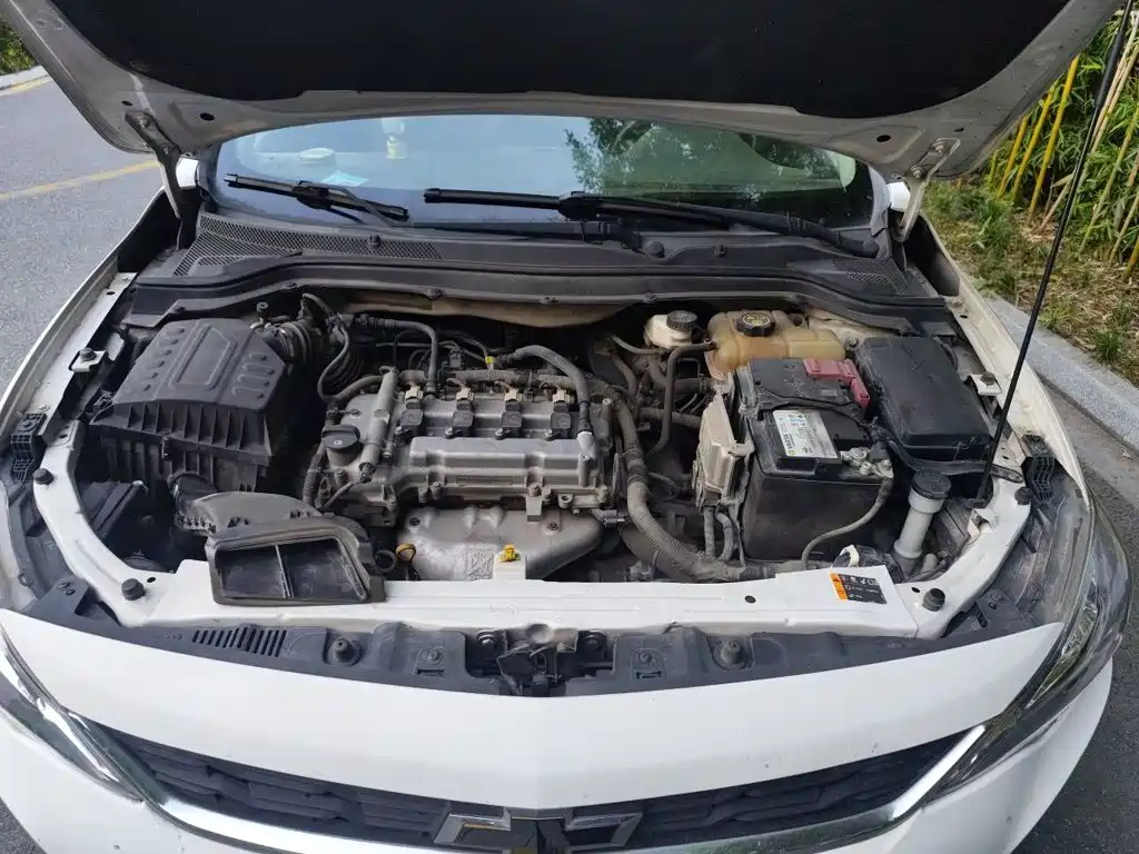 Chevrolet Cavalier 2018 — фото 11