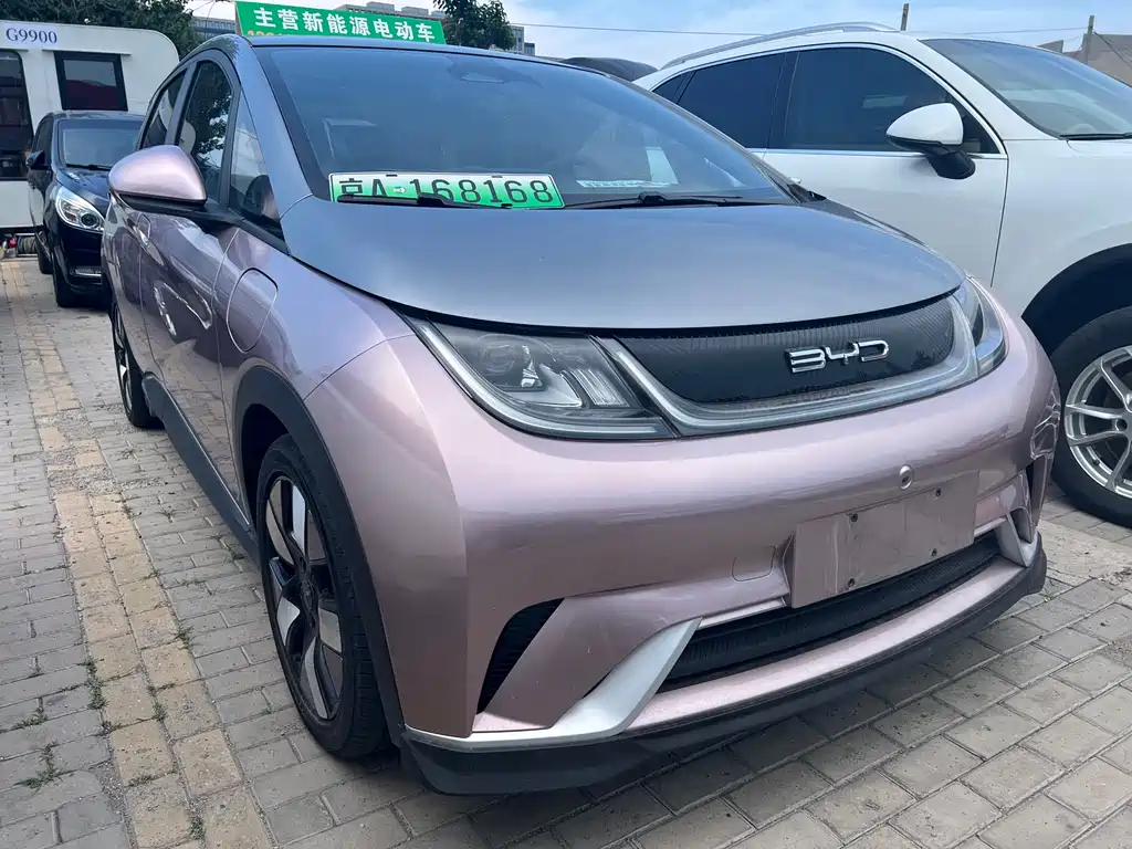 BYD Dolphin 2022