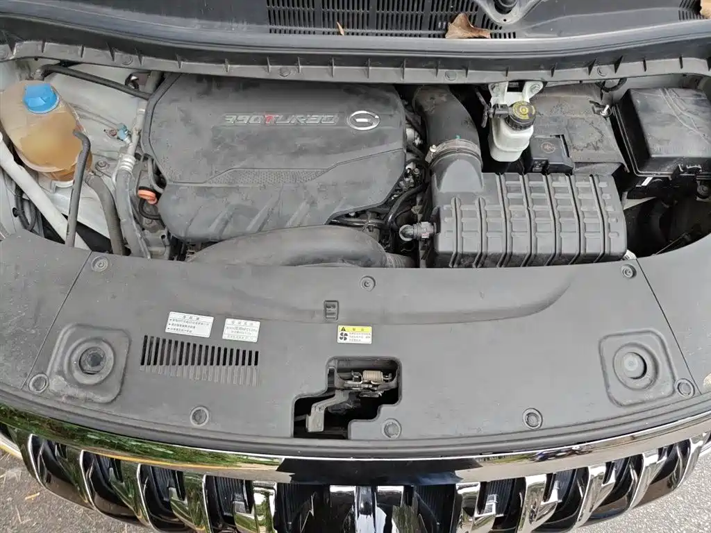 GAC Motor Trumpchi M8 2020 — фото 18