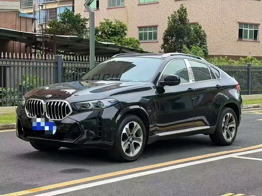 BMW X6 2010 — фото 1