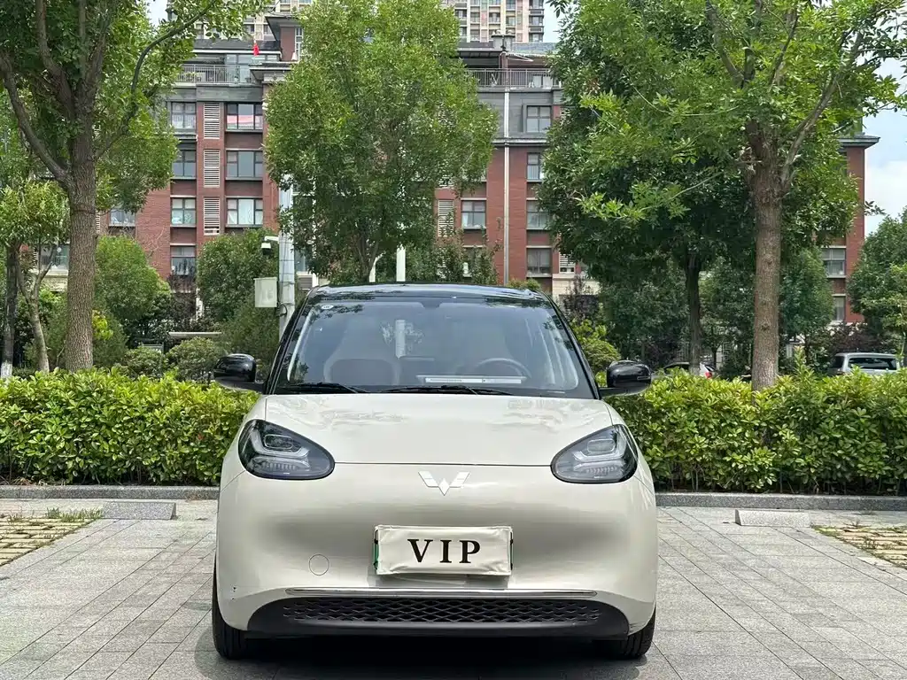Wuling Bingo 2024
