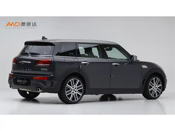 MINI MINI 2020