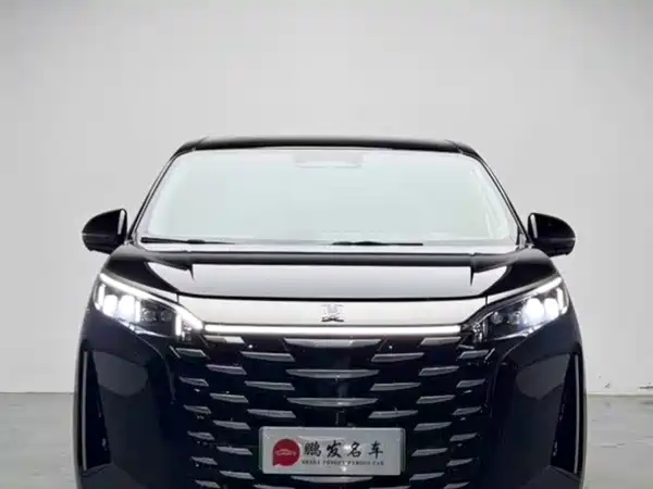 BYD Summer 2025