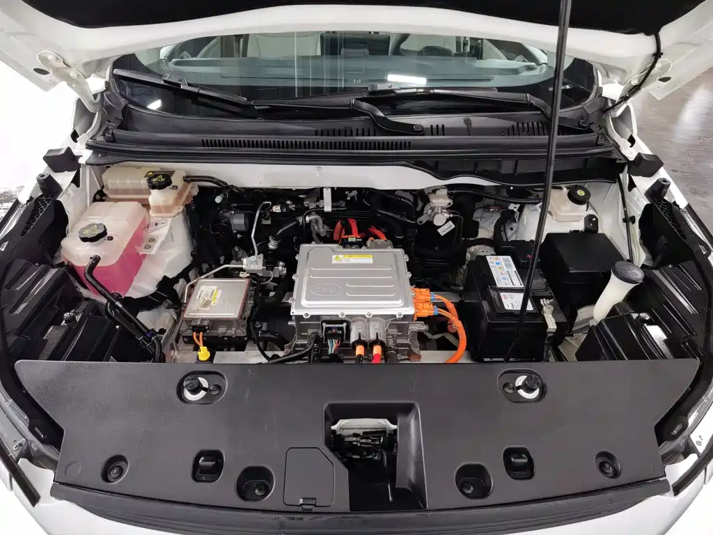 BYD Yuan Pro 2022