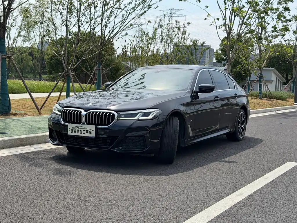 BMW 5 Series 2022