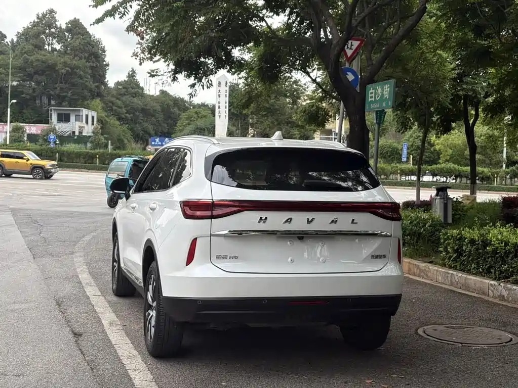 Haval H6 2020 — фото 11