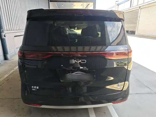 BYD Summer 2025