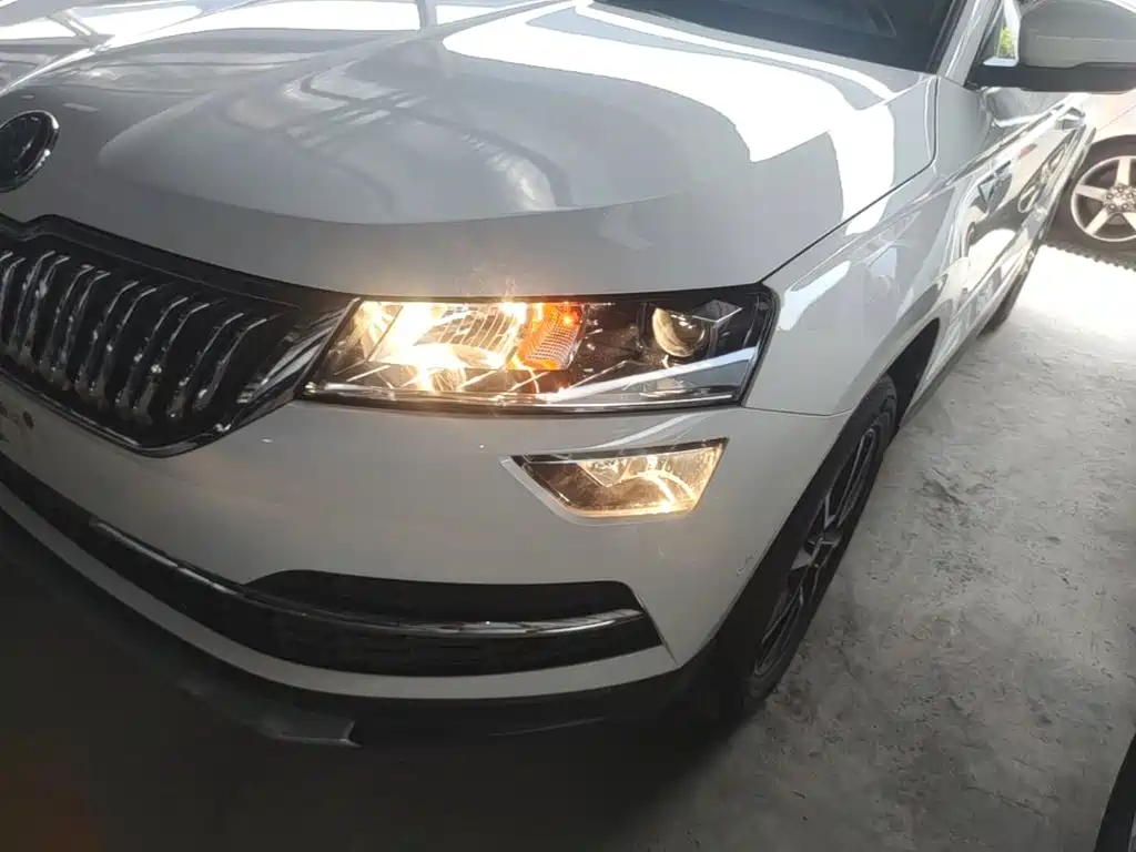 Skoda Karoq 2021 — фото 24