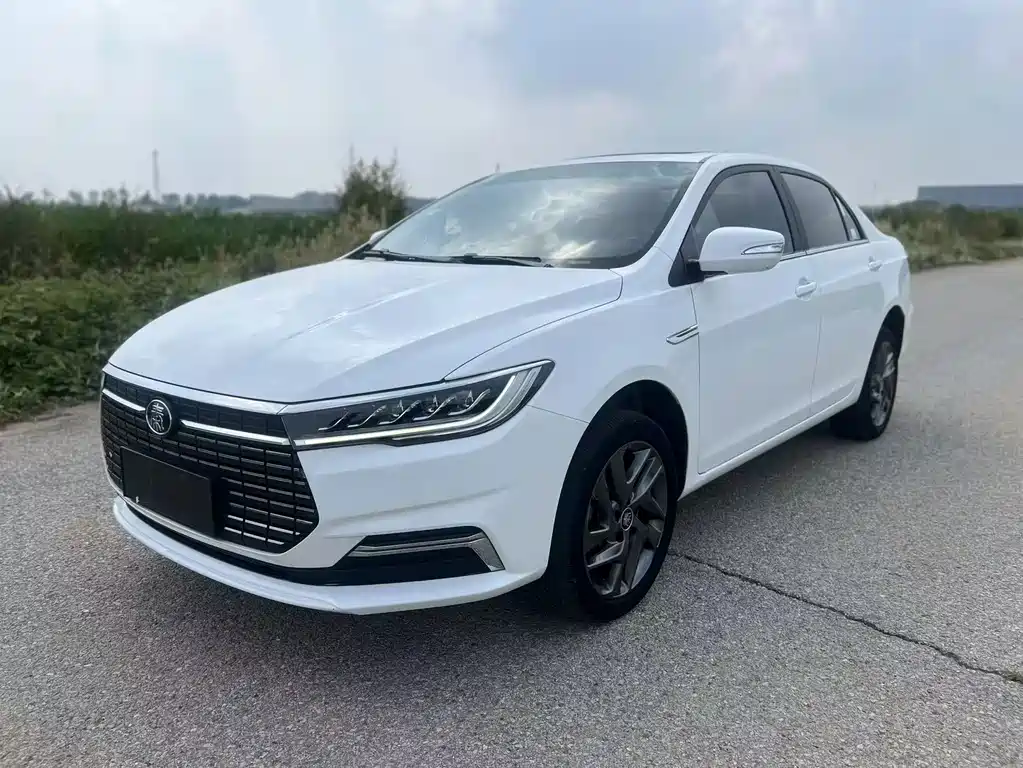 BYD Qin NEV 2020 — фото 1