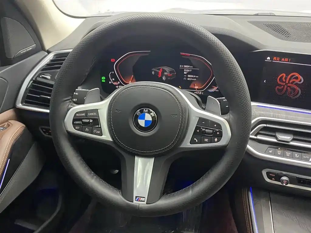 BMW X5 2019 — фото 14