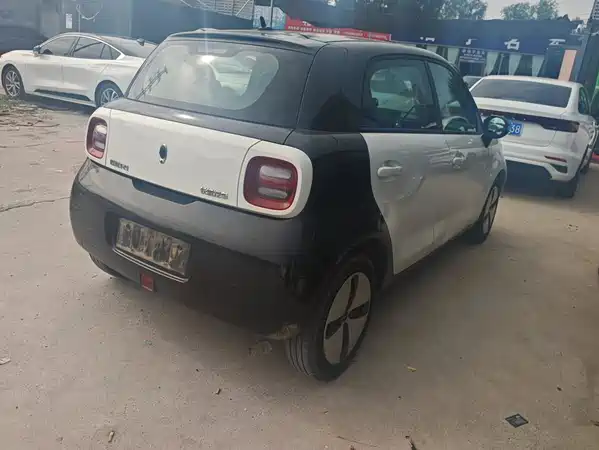Ora Black Cat 2020