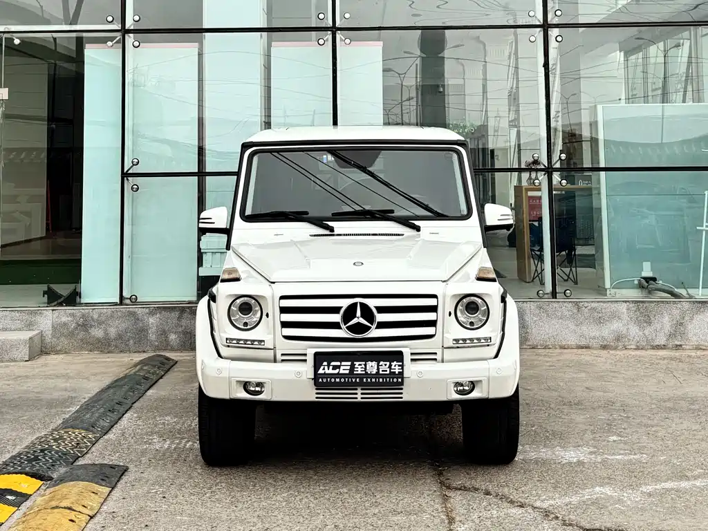 Mercedes-Benz G-Class 2013 — фото 2