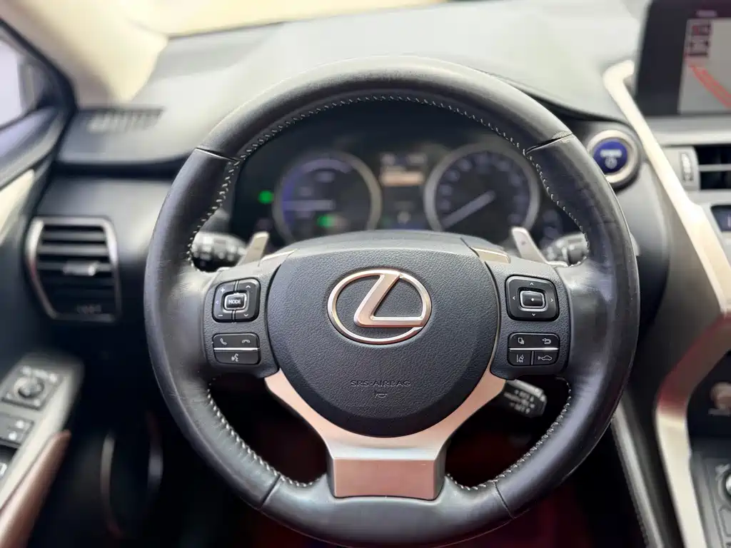 Lexus NX 2017 — фото 14
