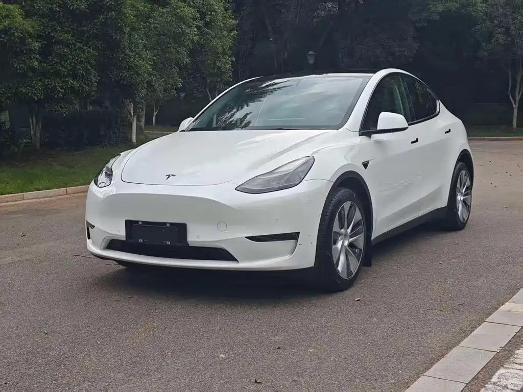 Tesla Model Y 2021 — фото 1