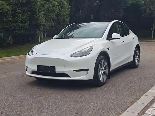 Tesla Model Y 2021