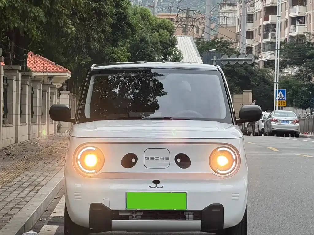 Geely Galaxy Panda 2024