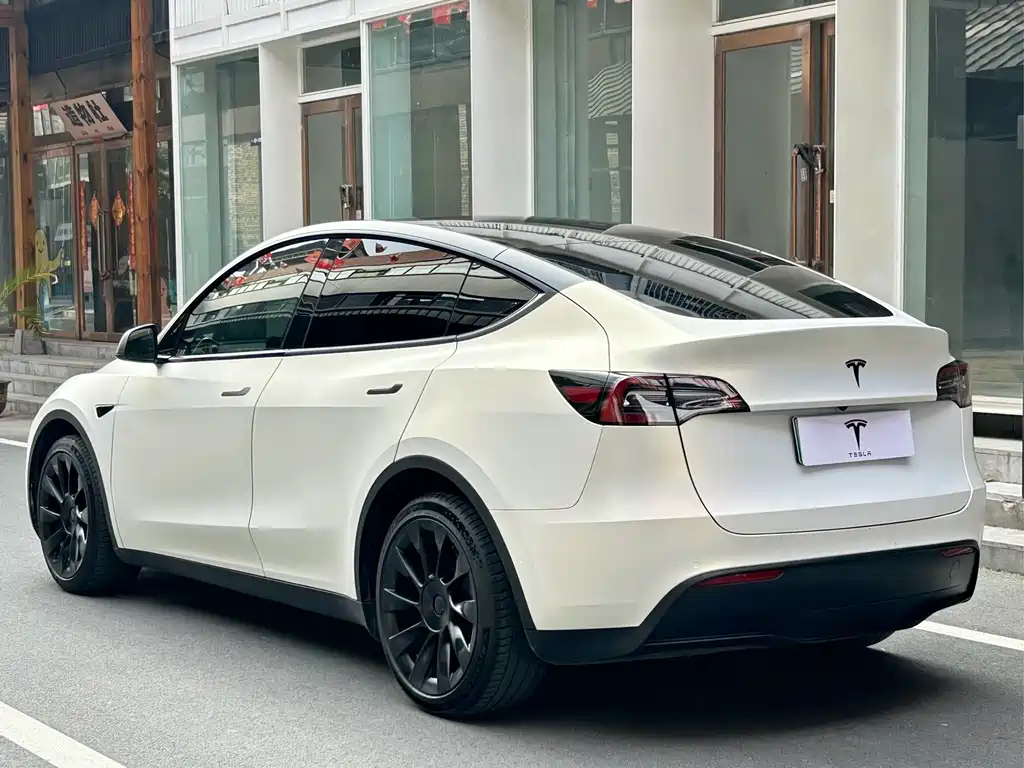 Tesla Model Y 2021 — фото 19