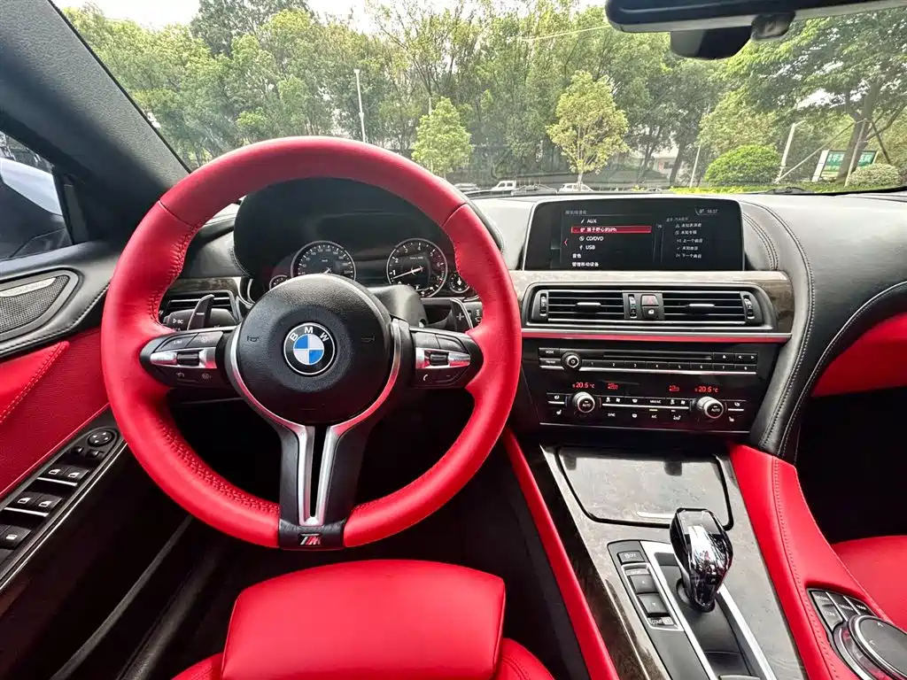 BMW 6 Series 2018 — фото 16