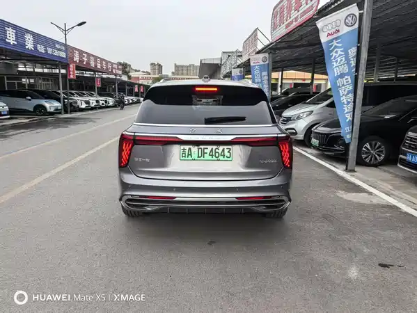 Hongqi E-HS9 2023