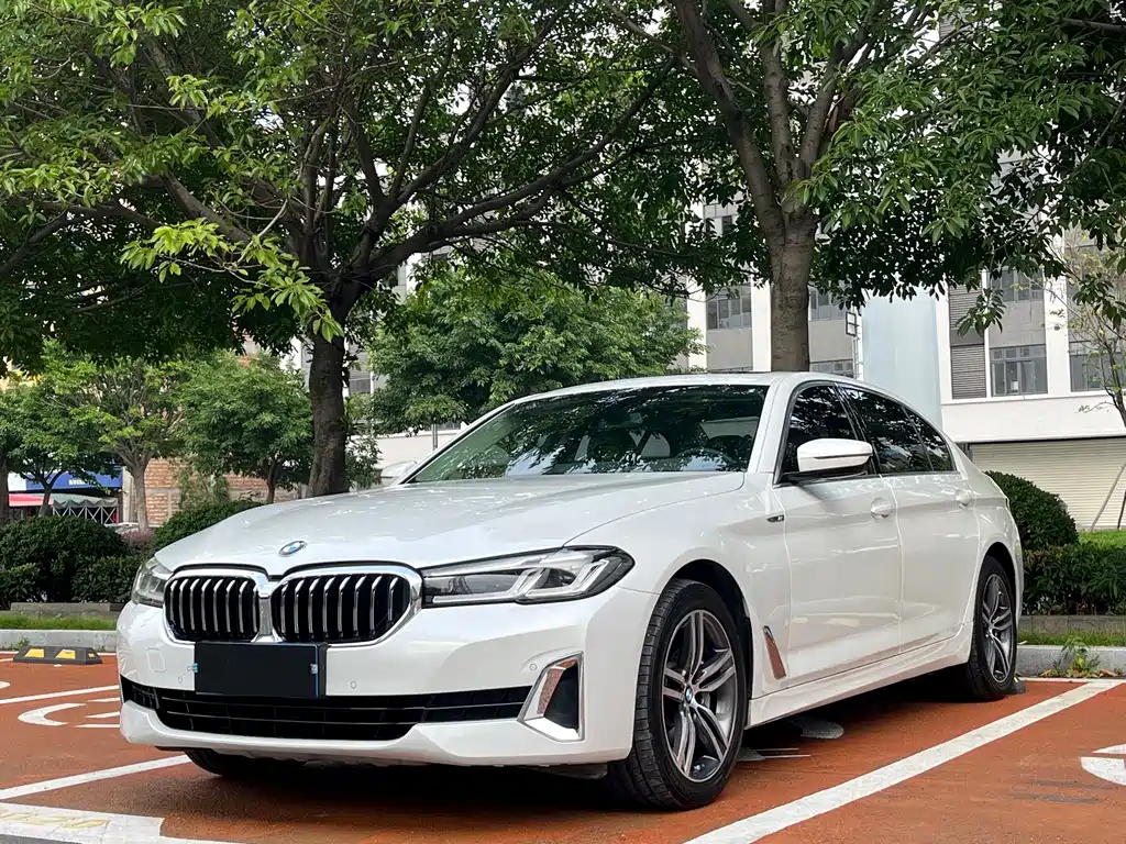 BMW 5 Series 2020 — фото 1