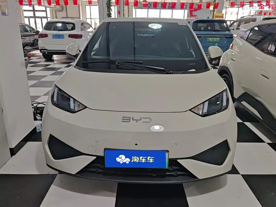 BYD Seagull 2025