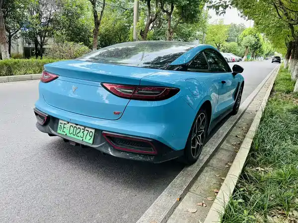 Neta GT 2024