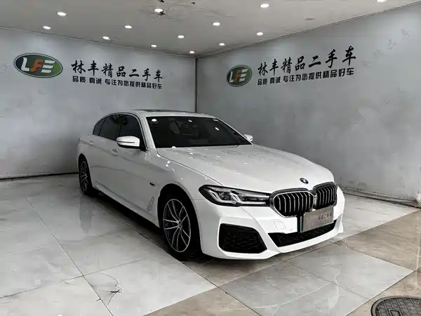 BMW 5 Series New Energy 2022