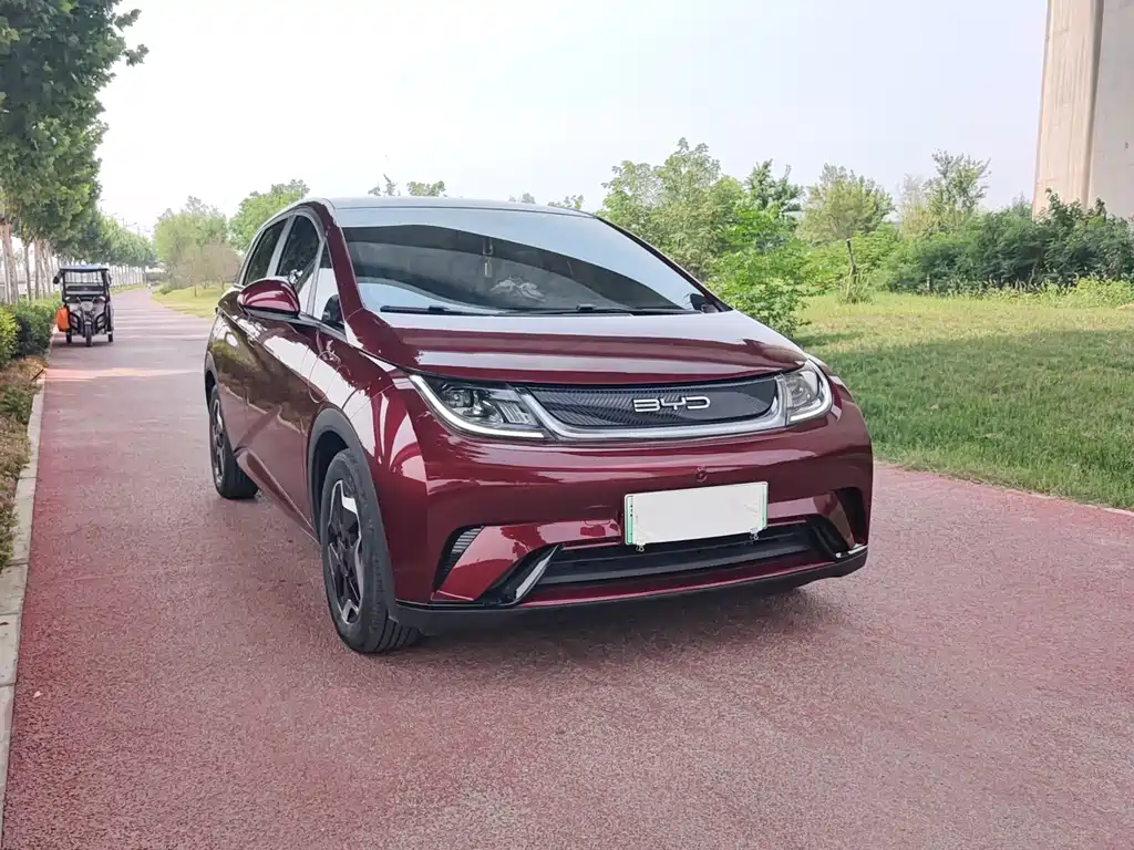 BYD Dolphin 2022