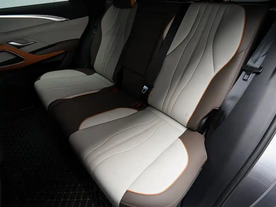 BYD Pro New Energy 2024 — фото 13