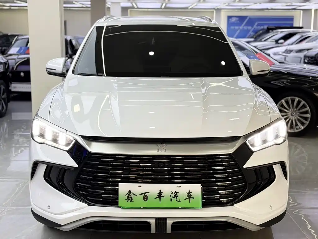BYD Pro New Energy 2025 — фото 2
