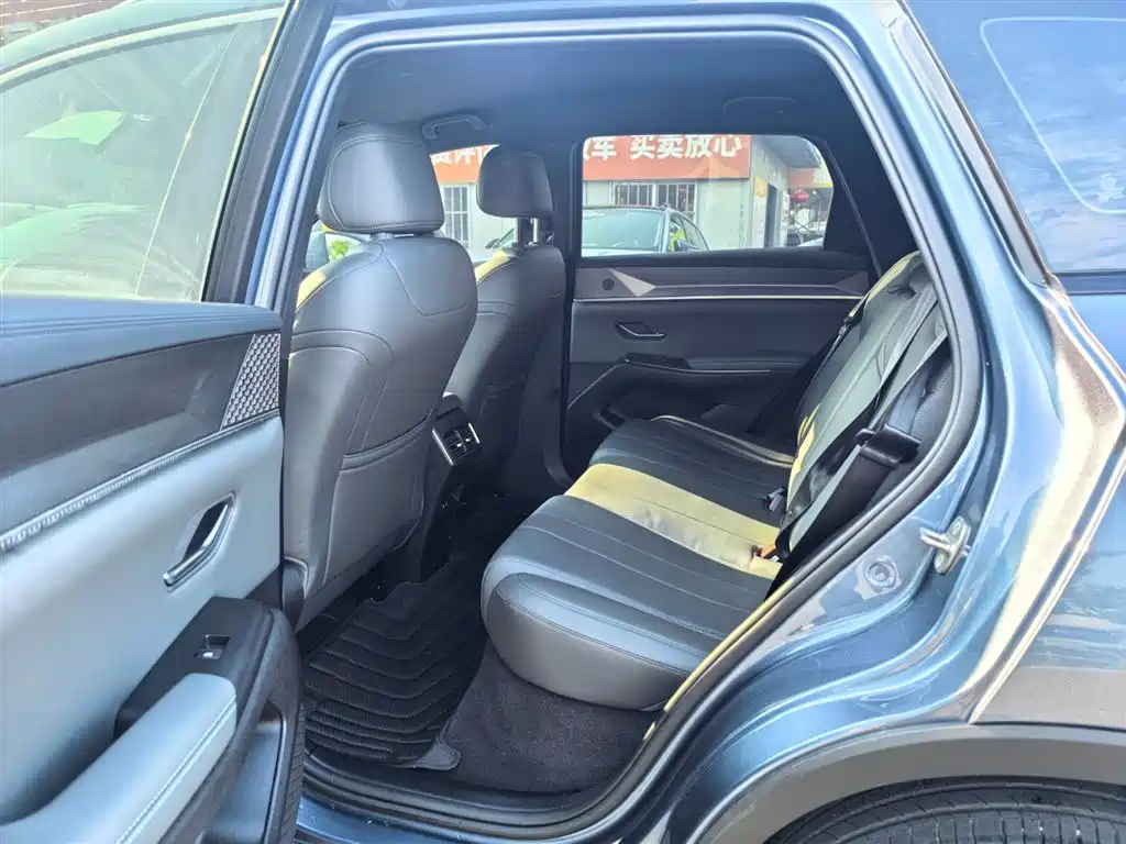 BYD Pro New Energy 2025 — фото 10