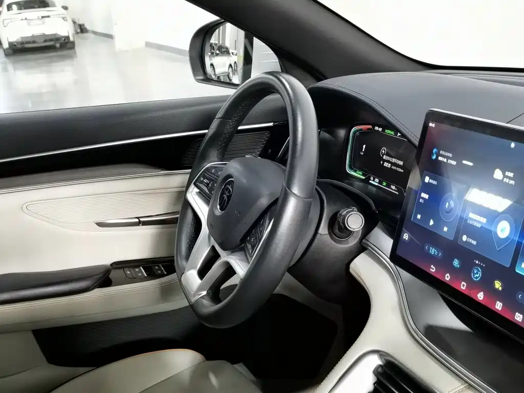 BYD Song PLUS New Energy 2021 — фото 22