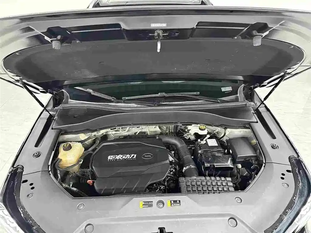 GAC Trumpchi GS8 2024 — фото 16