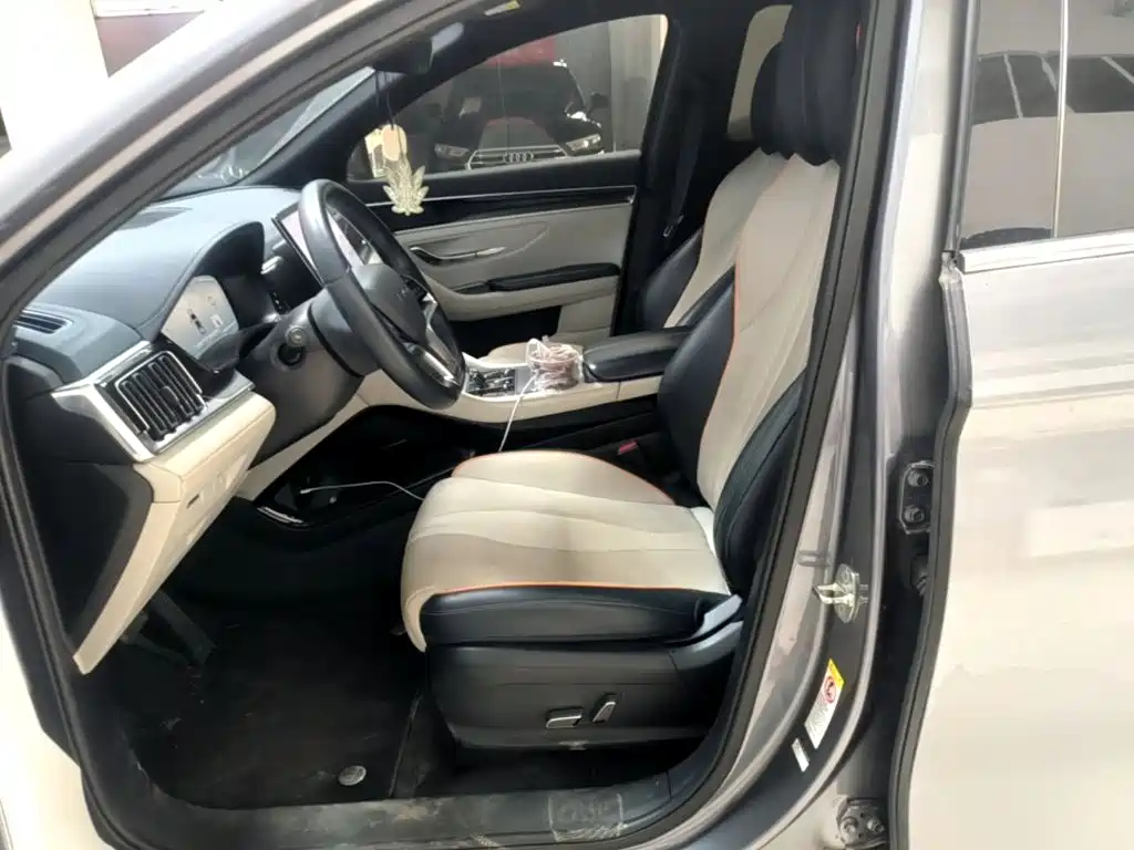 BYD Song PLUS New Energy 2024 — фото 15