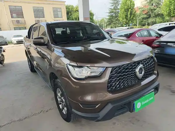 Great Wall Poer 2021