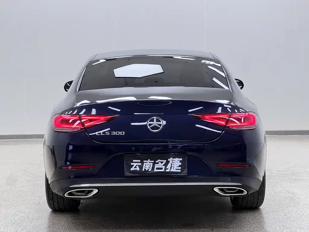 Mercedes-Benz CLS 2019 — фото 6