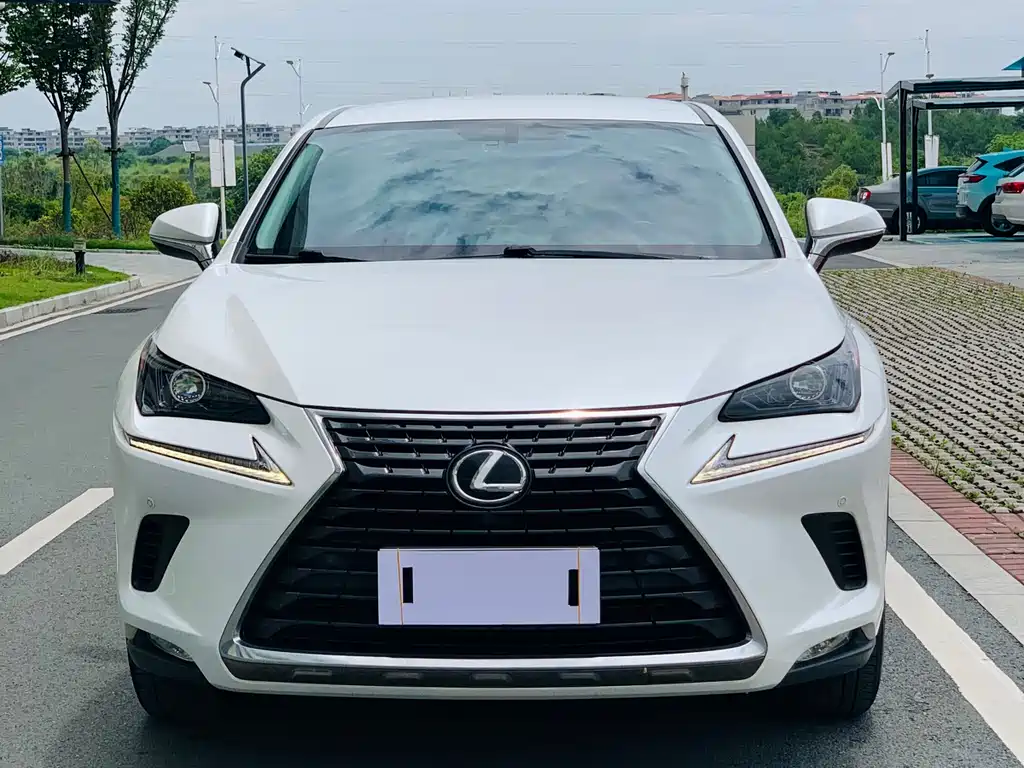 Lexus NX 2020