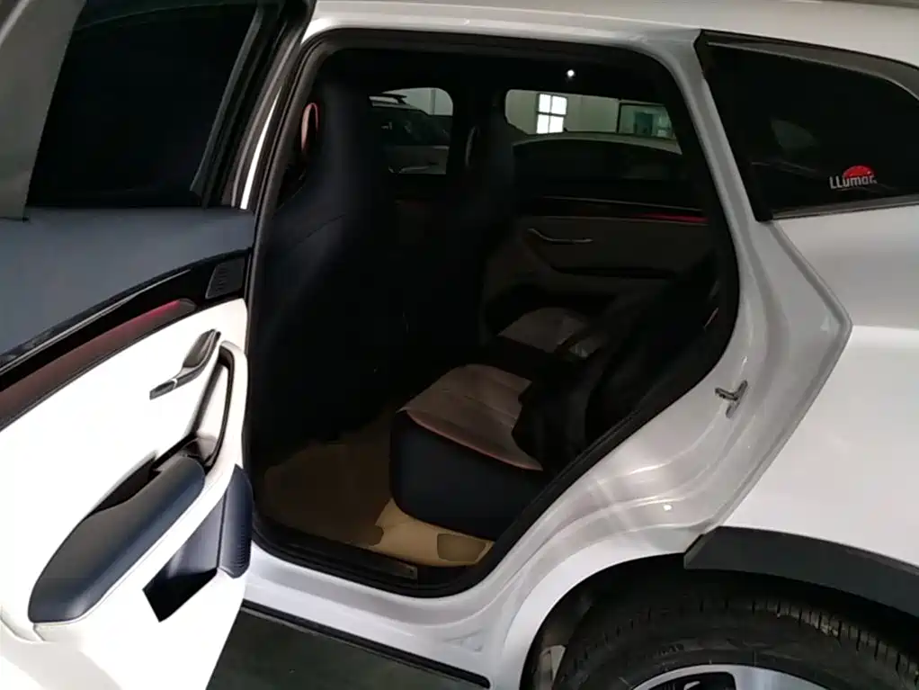 BYD PLUS New Energy 2023 — фото 17