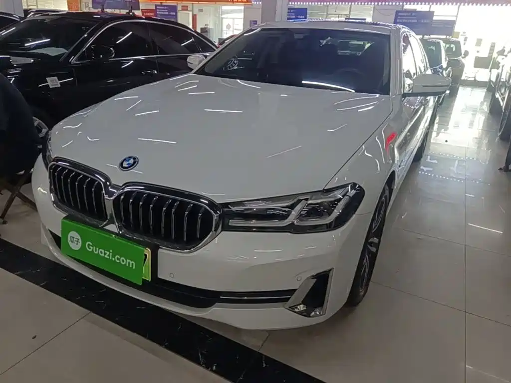 BMW 5 Series New Energy 2022