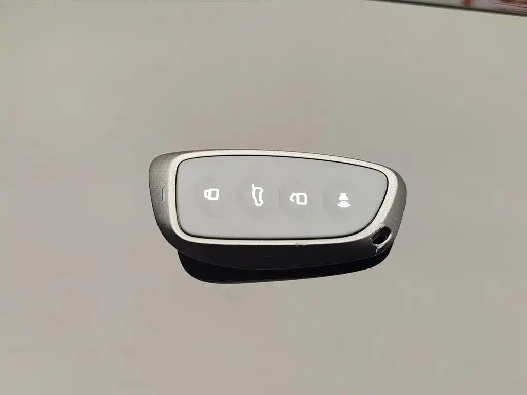 Haval Cool Dog 2023 — фото 19