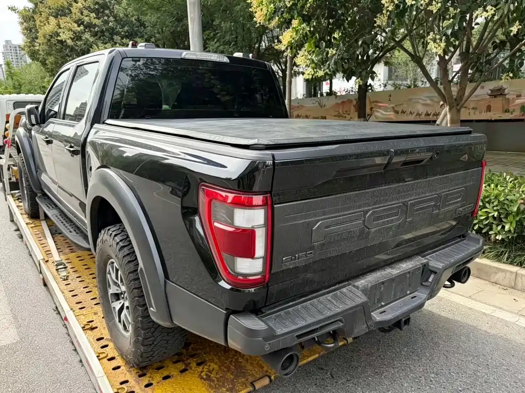 Ford F-150 Raptor 2023 — фото 5