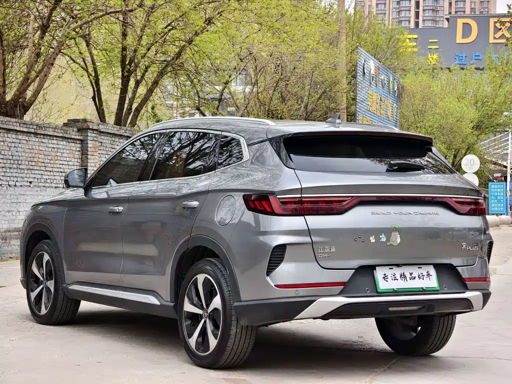 BYD PLUS New Energy 2021 — фото 7