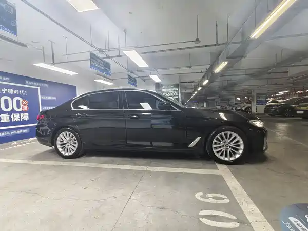 BMW 5 Series New Energy 2021