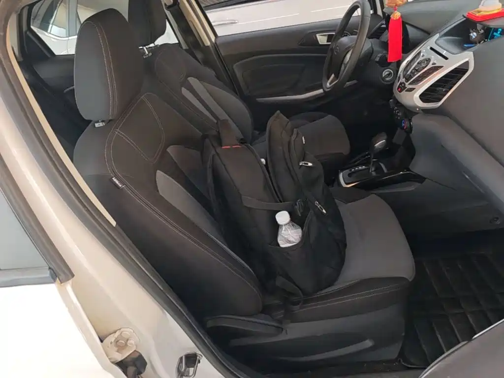 Ford Ecosport 2017 — фото 25