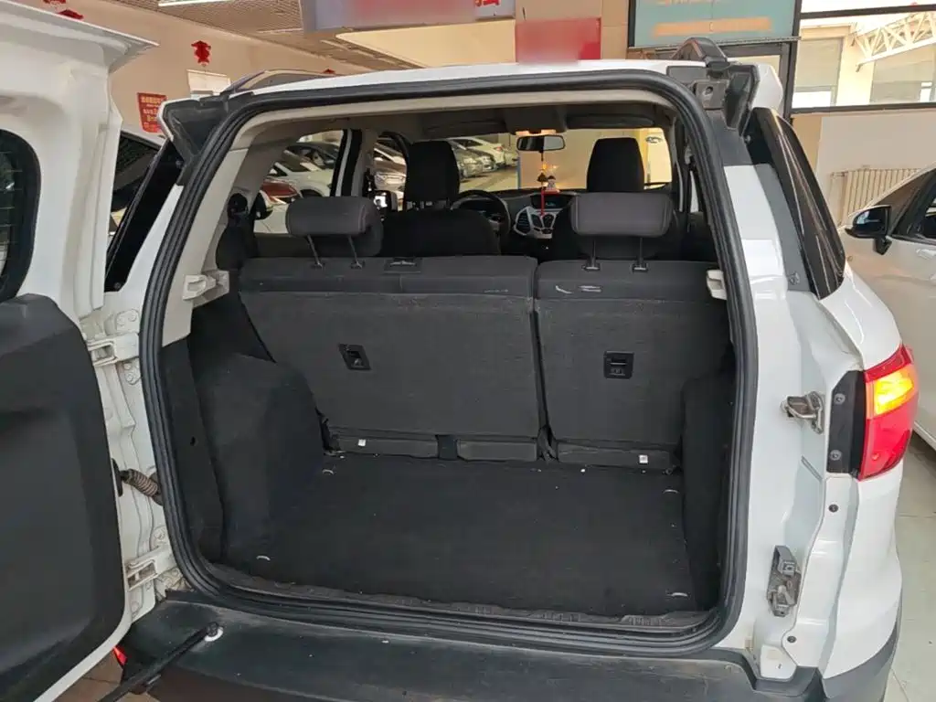 Ford Ecosport 2017 — фото 19